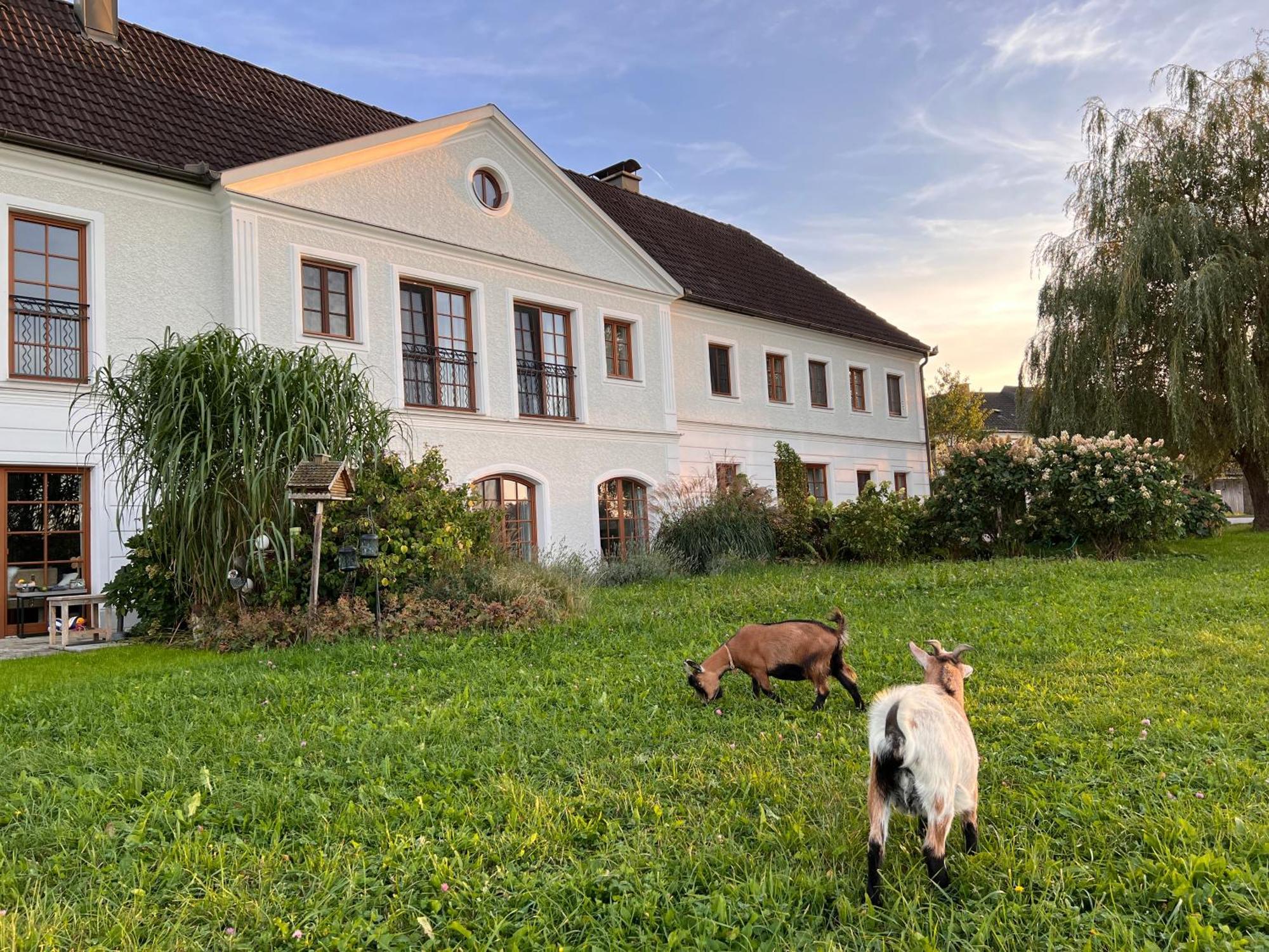 Landhaus Aigner Allhartsberg Екстер'єр фото